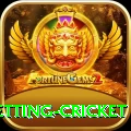 1st inning betting cricket Apps (Tools & Injectors) Pro v2.4.2