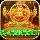 1st inning betting cricket Apps (Tools & Injectors) Pro v2.4.2