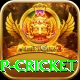 2022 world cup cricket Plus v2.1.0