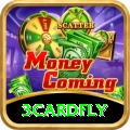 3cardfly Pro1 v4.7.0