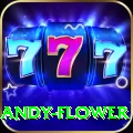 andy flower Turbo v1.5.0