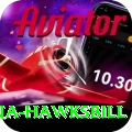 antigua hawksbill Pro Max v5.1.0