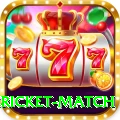 bangladesh cricket match Pro v3.0.8