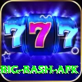 bbl big bash apk Deluxe Edition v4.9.1