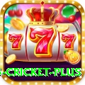 bet365 cricket Deluxe Gaming App