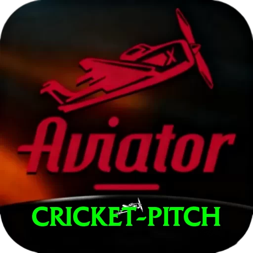 cricket pitch Gold Edition v4.5.5 - 2