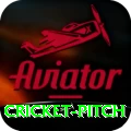 cricket pitch Gold Edition v4.5.5