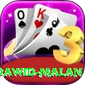dawid malan Elite Pro v2.3.4