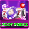 dawki living root bridge Pro