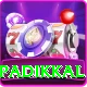 devdutt padikkal Pro Max v2.5.1