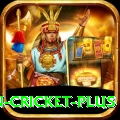 espn cricket Slot Machine Premium