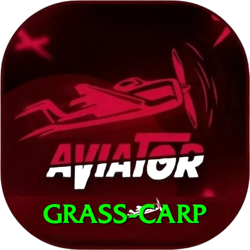 grass carp Gold Pro v1.2.2 - 2