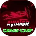 grass carp Gold Pro v1.2.2