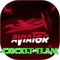 hong kong cricket team Plus v1.7.8