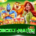 india cricket match VIP Edition v1.2.5