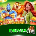 indvsa Pro Edition v4.0.1