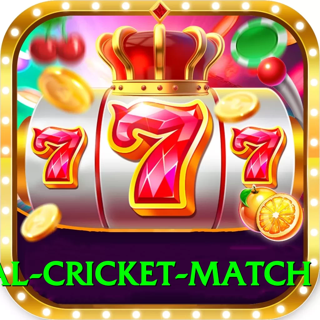 international cricket match Turbo v3.6.4 - 2