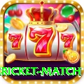 international cricket match Turbo v3.6.4