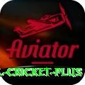 international cricket Jackpot Mega v2.4.1