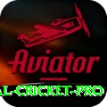 international cricket Slot Machine Deluxe