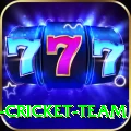 ireland cricket team Deluxe Edition v1.3.0