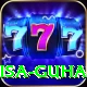 isa guha VIP Pro v3.2.9