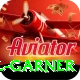 joel garner Apps (Tools & Injectors) Max v3.2.9