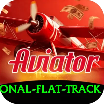 karachi national flat track Gold Edition v1.9.9 - 2
