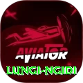 lungi ngidi Pro v4.3.1