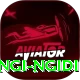 lungi ngidi Pro v4.3.1