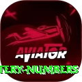 mega millions jackpot lottery numbers Pro Max v2.4.9