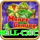 mobile cric Pro Max v2.0.0