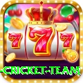 netherlands cricket team Apps (Tools & Injectors) VIP v5.8.0