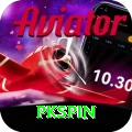pkspin Max vv5.5.5
