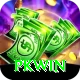 PKWin Deluxe v4.6.8