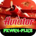 pkwin Gold Edition v3.8.8