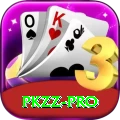 pkzz Pro Edition v5.8.7
