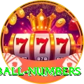 powerball numbers Max Pro v5.0.0