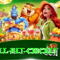 risk free bet cricket Premium Plus v1.3.3