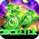 shahrukh khan cricketer Deluxe Pro v1.8.1