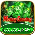 smart cricket live Deluxe Edition v3.4.1