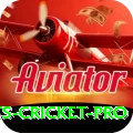 sports cricket Master Slots