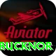 steve bucknor Premium Edition v4.8.1
