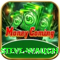 steve waugh Max Pro v1.9.3