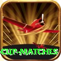 t20 world cup matches Pro1 v4.4.2