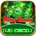 test cricket VIP Pro v3.4.7
