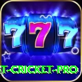 test cricket Live Champion v5.9.1