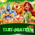 test match Master Pro v1.1.7