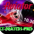 to day cricket match VIP v4.7.7
