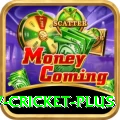 v cricket Casino Gold v4.7.1
